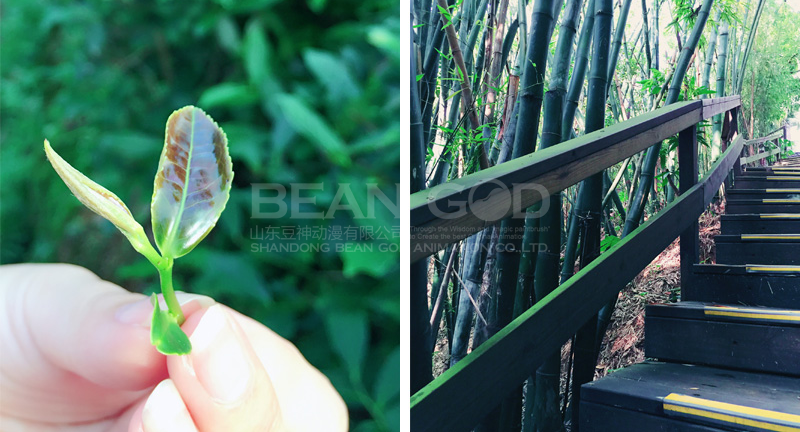 深圳——東部華僑城手機(jī)攝影欣賞